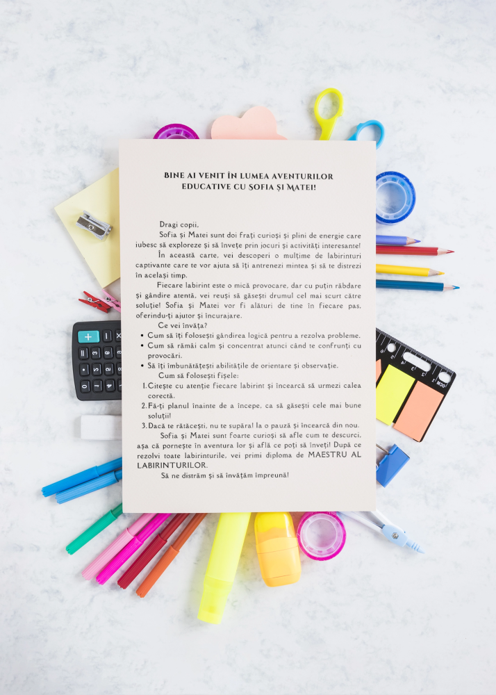 Fișe de lucru cu labirinturi - PDF - Fișa 2