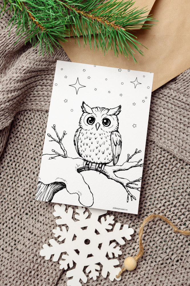 Fișe de colorat de iarnă - PDF - Fișa 5