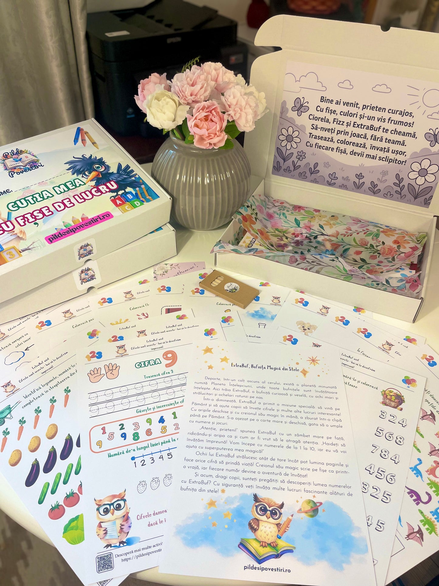 cutie cu fise de lucru pentru gradinita alfabet numere si forme