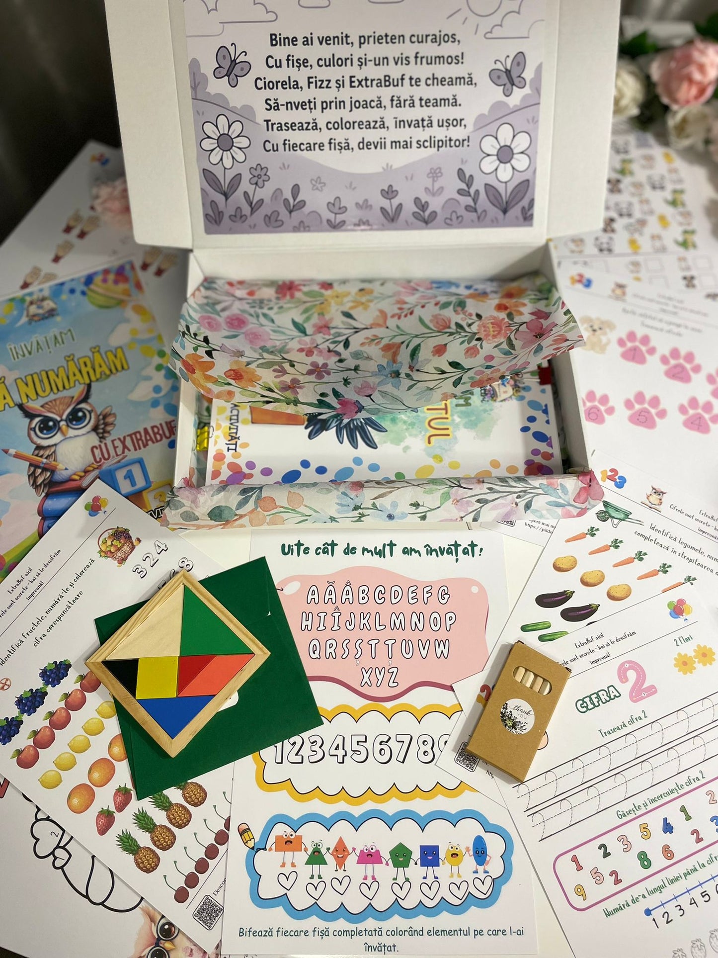 cutie cu fise de lucru pentru gradinita alfabet numere si forme